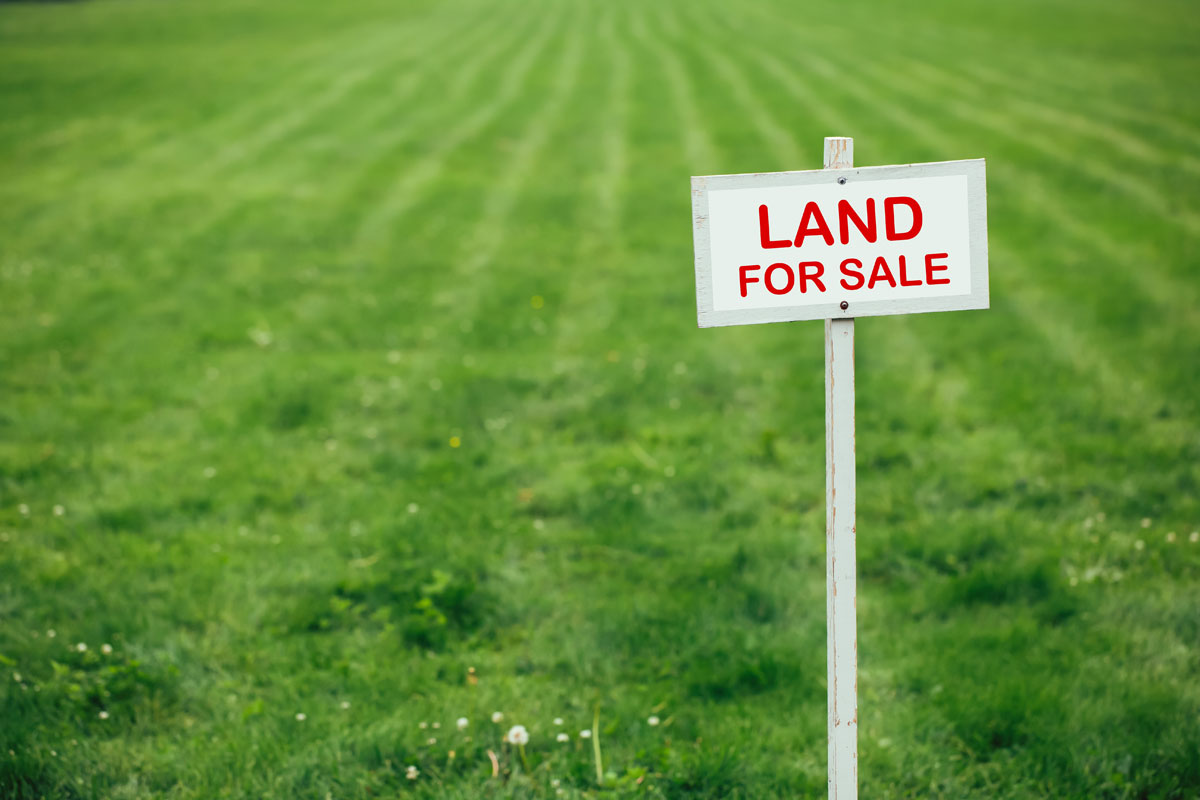 yard with a land for sale sign